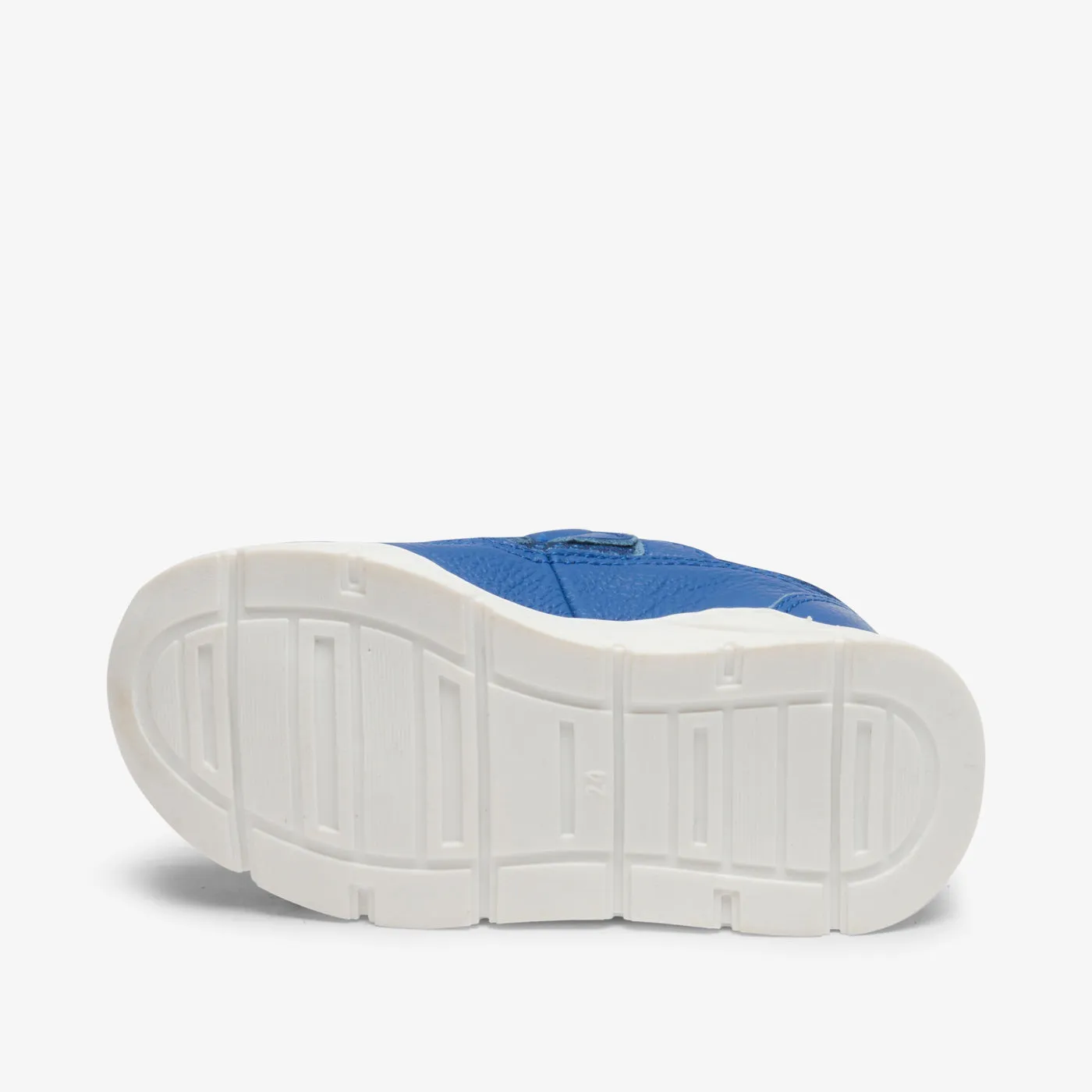 bisgaard pan v cobalt