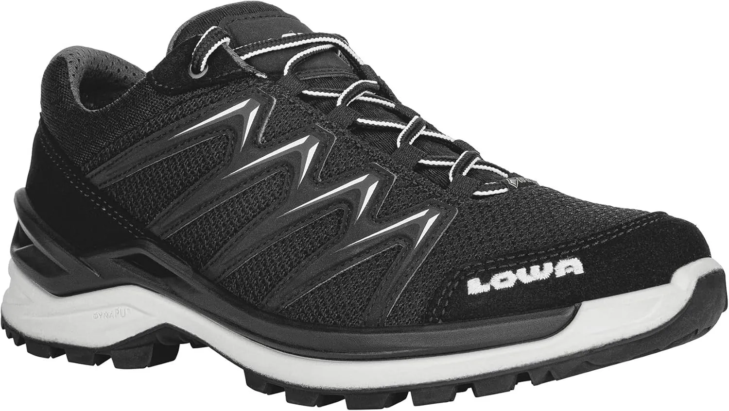 Lowa Adult Innox PRO GTX LO WS grau